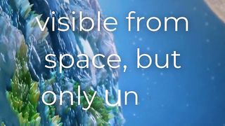 Earth Fact 2