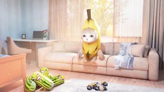 Cat Banana animation 3