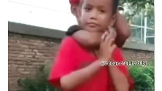 Funny video