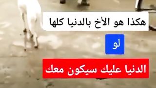 شوف الاخ بعمل بعمل اية مع اخوه الصغير