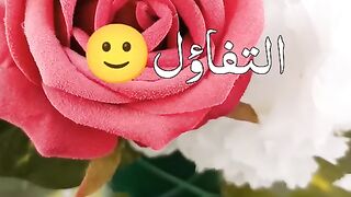 احلى صباح