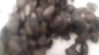 Animal liberal 9