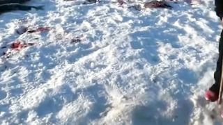 The kid caught a fish in his height.Super video 2023
