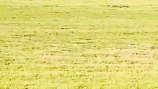 Hard Ball Cricket Match play