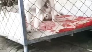 This video will shock everyone. Watch until the end!!!