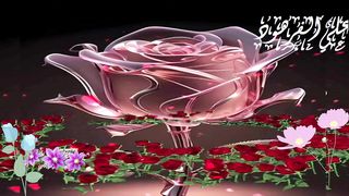 اجمل تلاوة في الارض
