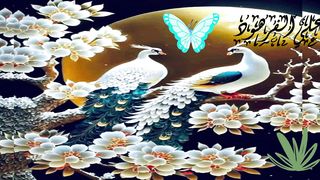 اجمل تلاوة على سطح هذه الأرض