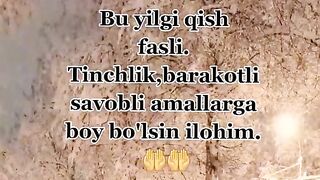 Funny video