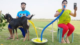 Funny joker video | Try not to Lough | ye video dikh k Hans Hans k pagal ho jawo ge