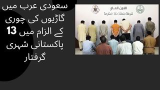 13 Pakistani nationals arrested on charges of vehicle theft in Saudi Arabia