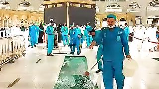 videos 73