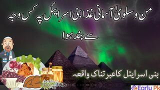 Man o salwa ka waqia | Manna and quail story | Food of heaven | jannati khana