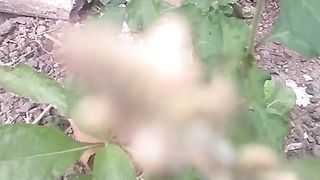 Animal lowers 2