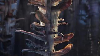 New Cartoon Movies|New canrtoon|New animatin movies|New action movies|
