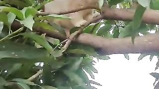 Cat funny 25