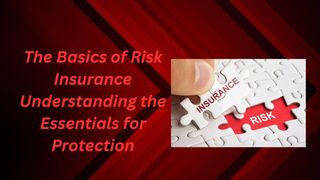 The Basics of Risk Insurance Understanding the Essentials for Protection