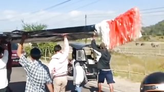 Layang-layang raksasa Garuda limboro