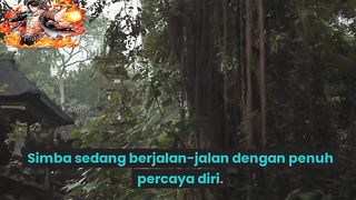 DONGENG SINGA DAN TIKUS YANG BERSAHABAT