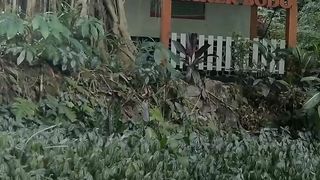 Waterfall Kakek Bodo