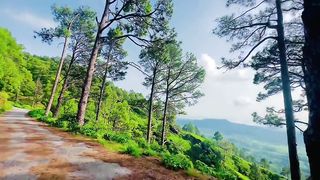 Beauty of Nature |most beautiful place of Kashmir #standwithkashmir