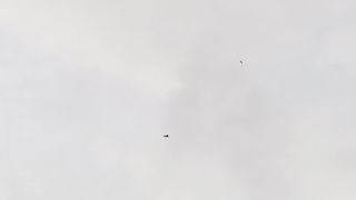 Kite Flight 1