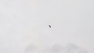 Kite Flight 3