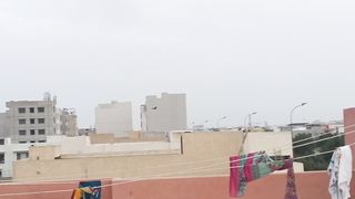 Crows Gathering