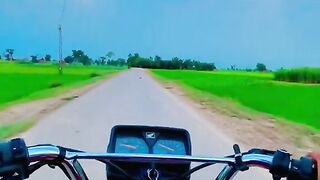 Beautiful view 55