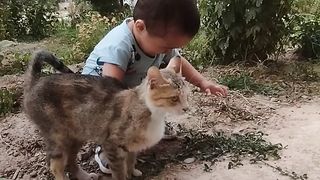 Baby and cat????