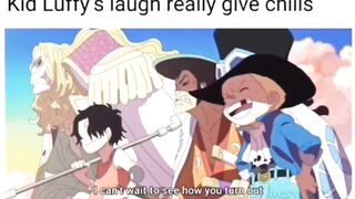 Kid luffy's laugh