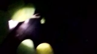 Animal lowers 5