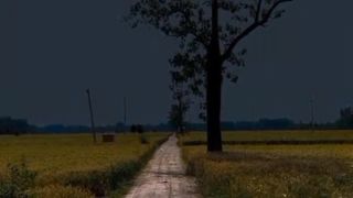 At night you are alone at alone path.