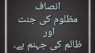 videos| aqwal-e-zareen|
