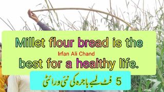 Millet flour bread is the best for a healthy life.