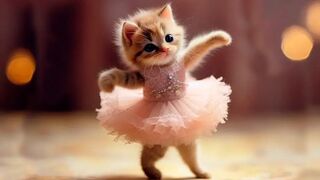 Funny animals - Funny cats and dogs - Funny animal videos 2023???? 3