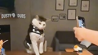 Приколи 271