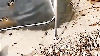 Приколи 278