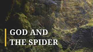 Inspirational Christian Short Story// God and The Spider