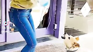 Приколи 279