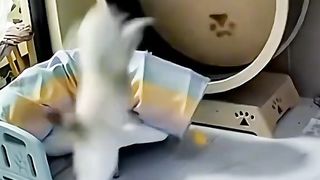 Приколи 282