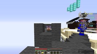 minecraft bruh moments