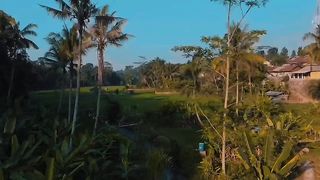 Dji mini se footage