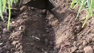 Farmers tool