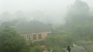 Funny video