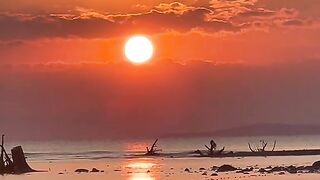 Beautiful and shady sunset videos