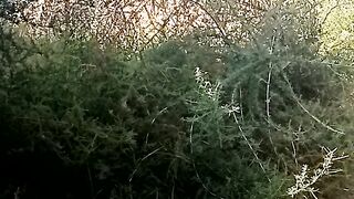 ДОБРЫЙ ДЕНЬ