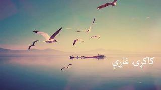 Javed Amir Khel Song (Pa Almanz k Zama ...Janan... Day) Full Video | Full Song