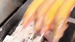 Cat Fish Grilled