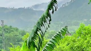 Beautiful view of my village 2