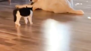BIG AND SMALL